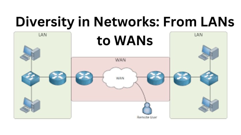 Diversity in Networks: From LANs to WANs