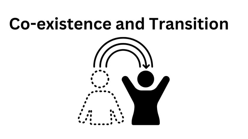 Co-existence and Transition
