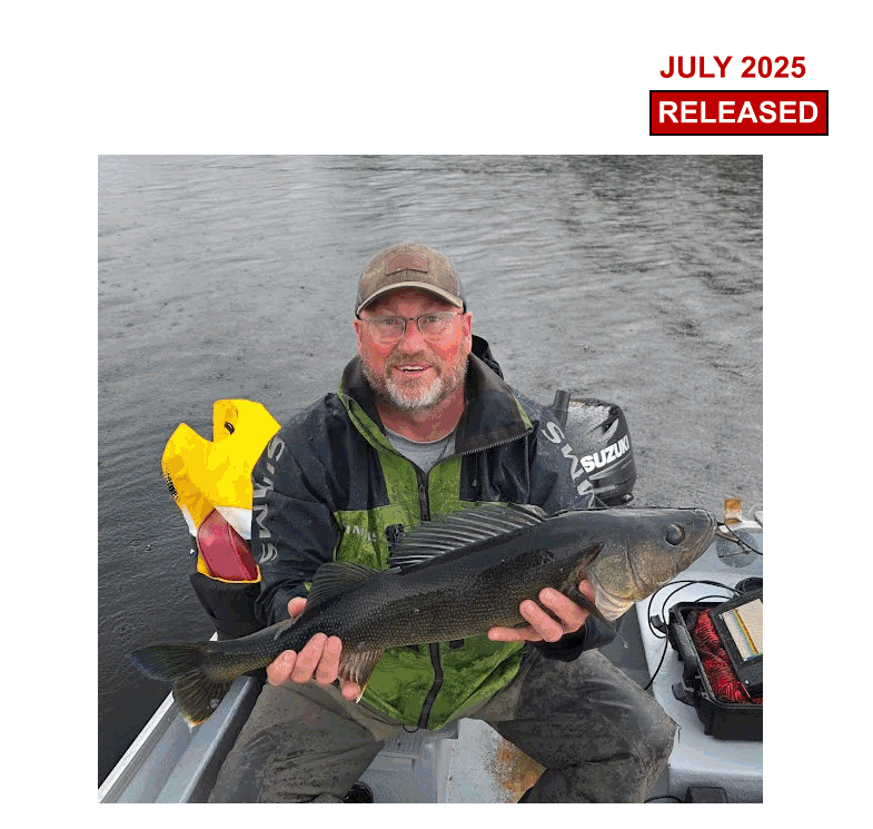 What Questions Should You Ask Before Booking a Lake Trout Outfitter?